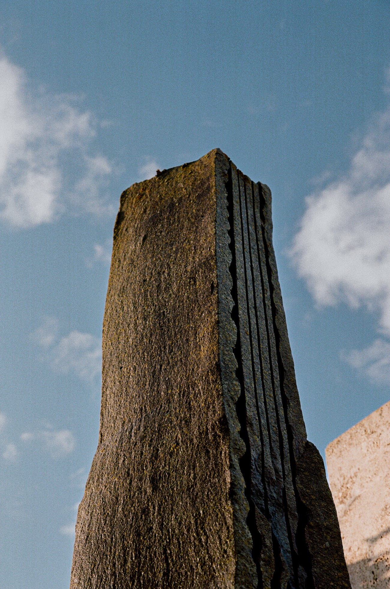 SS25 Campaign SS25 Campaign SS25 Campaign SS25 Campaign SS25 Campaign SS25 Campaign