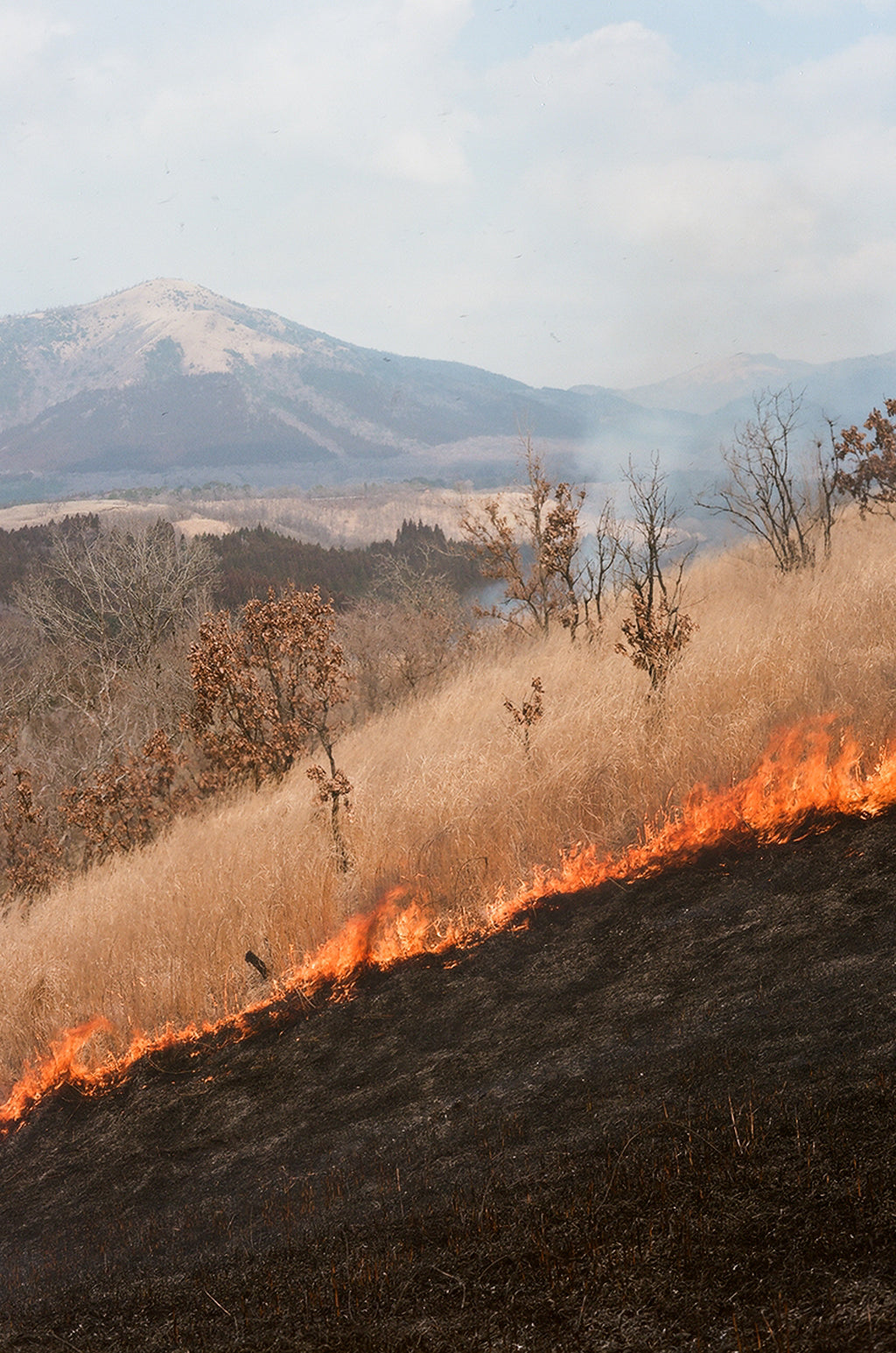 Noyaki Seasonal burning  on the Mt. Aso