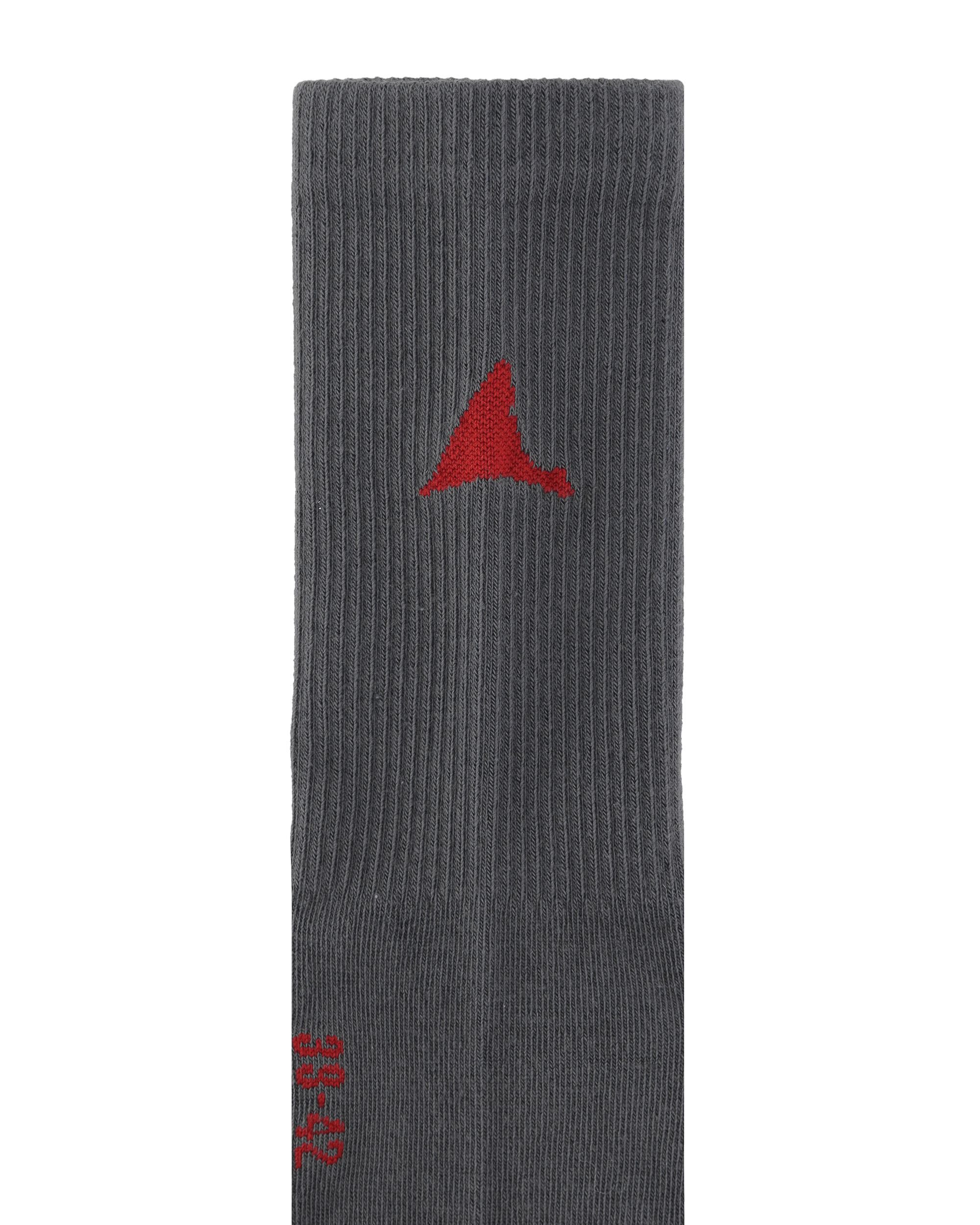 ROA Logo Biofil Socks J316861-39-42-Grey 3
