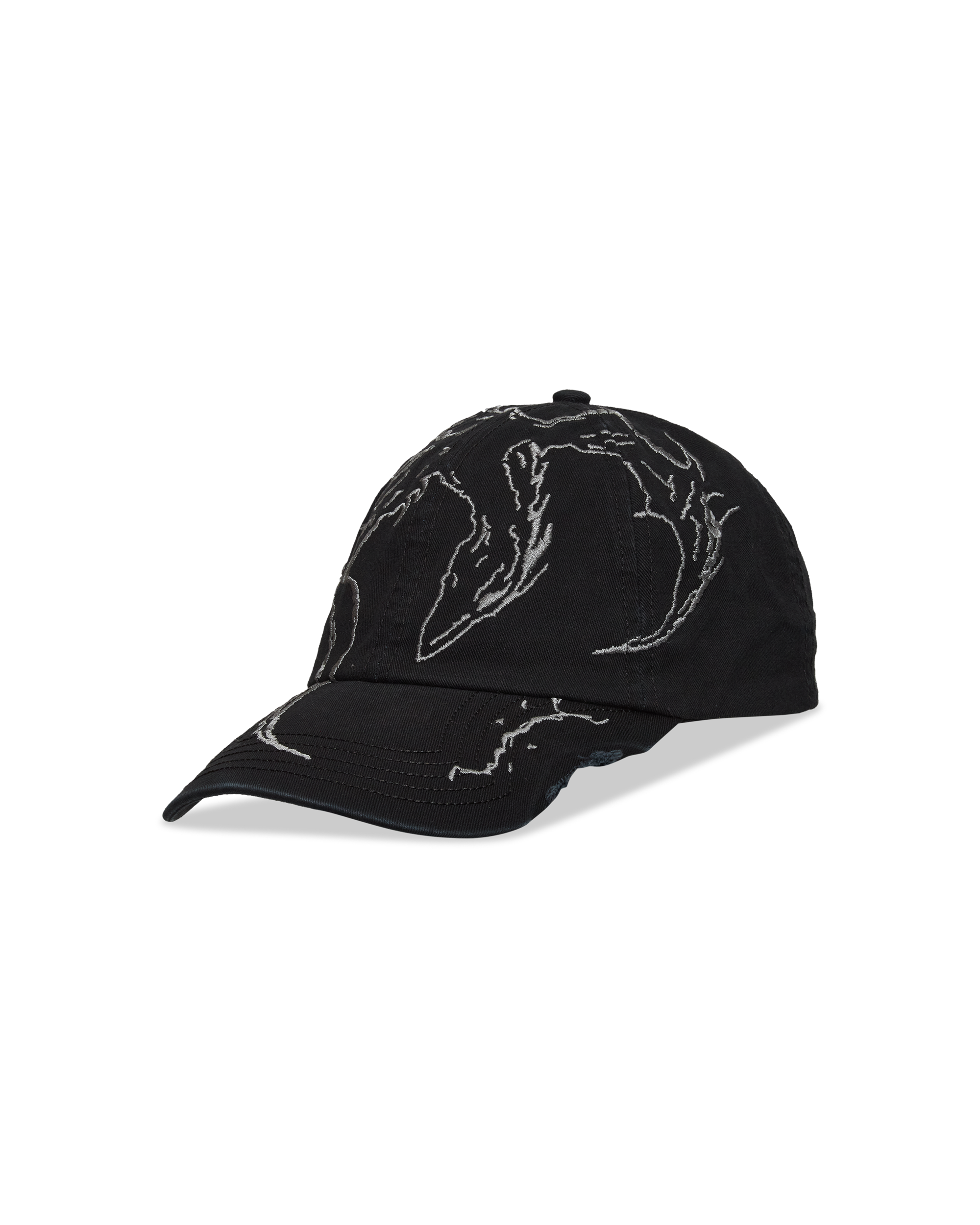 Ryli Embriodered 6-Panel Cap – ROA