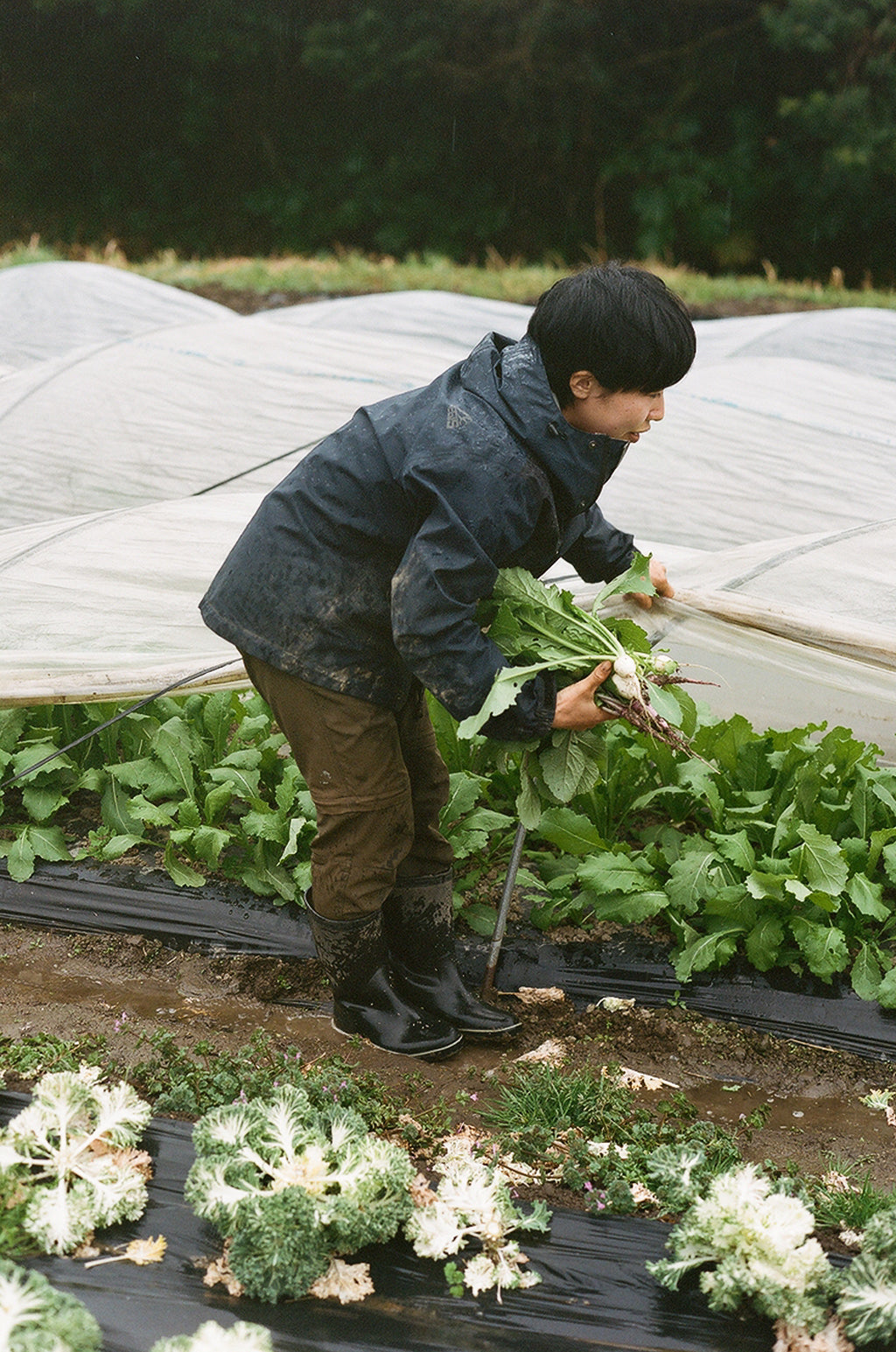 Kishuann  Tomohito Kaji’s auberge in Isumi. Kishuann  Tomohito Kaji’s auberge in Isumi.