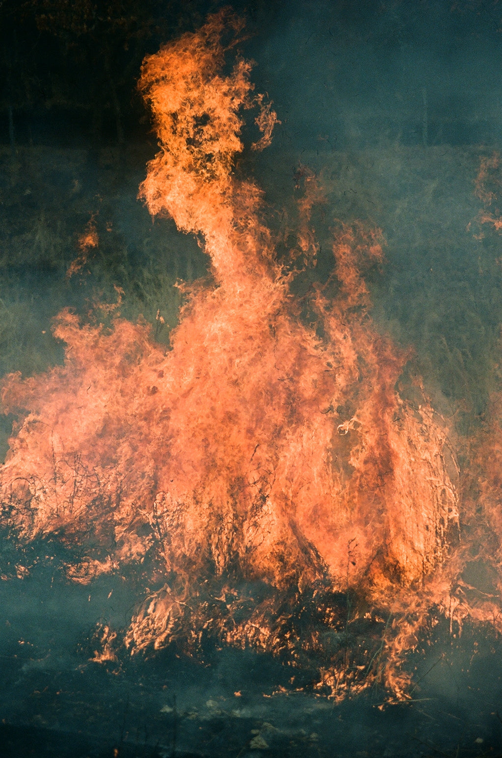 Noyaki Seasonal burning  on the Mt. Aso Noyaki Seasonal burning  on the Mt. Aso
