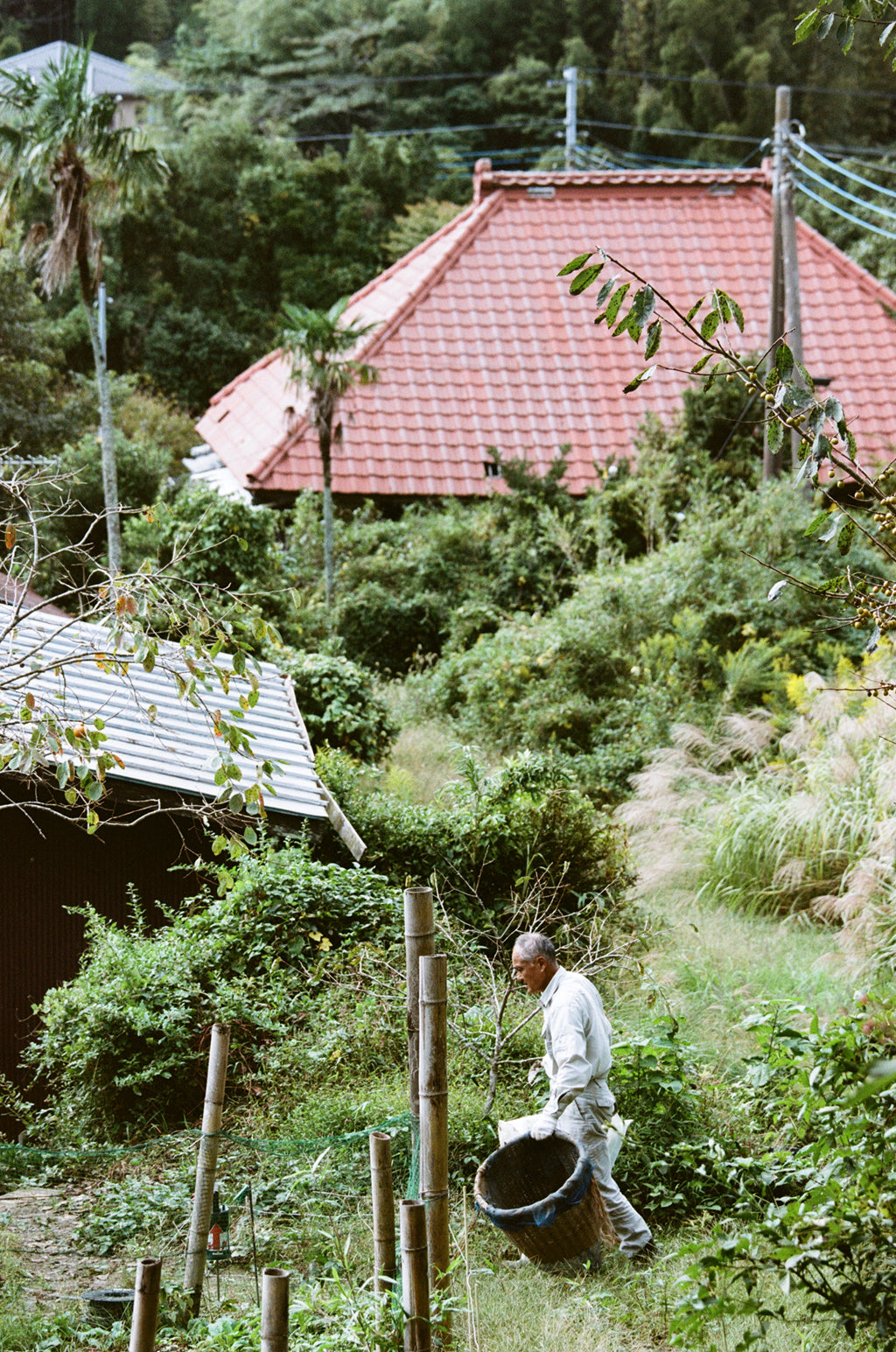 Kishuann  Tomohito Kaji’s auberge in Isumi. Kishuann  Tomohito Kaji’s auberge in Isumi. Kishuann  Tomohito Kaji’s auberge in Isumi.