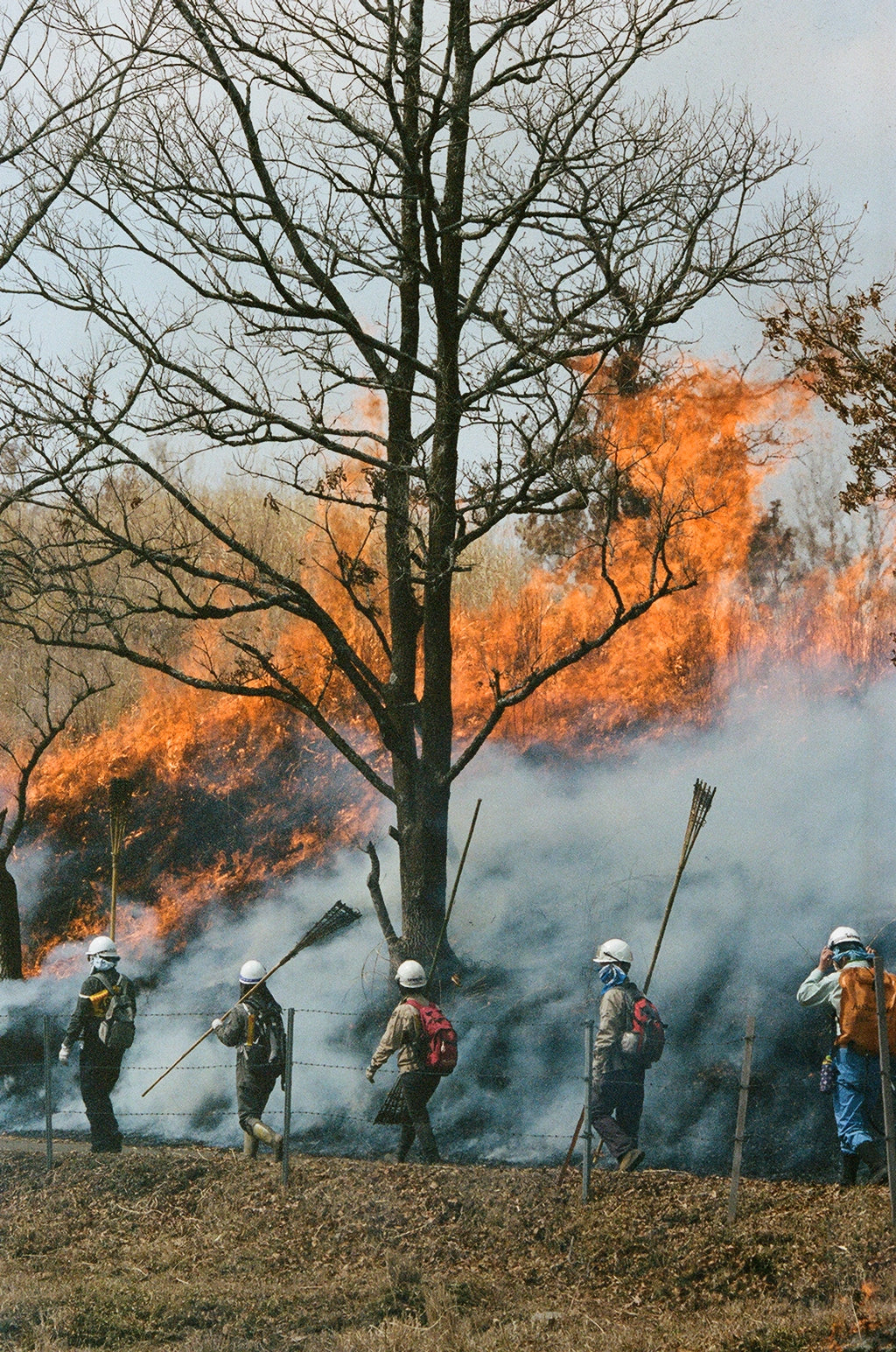 Noyaki Seasonal burning  on the Mt. Aso Noyaki Seasonal burning  on the Mt. Aso Noyaki Seasonal burning  on the Mt. Aso