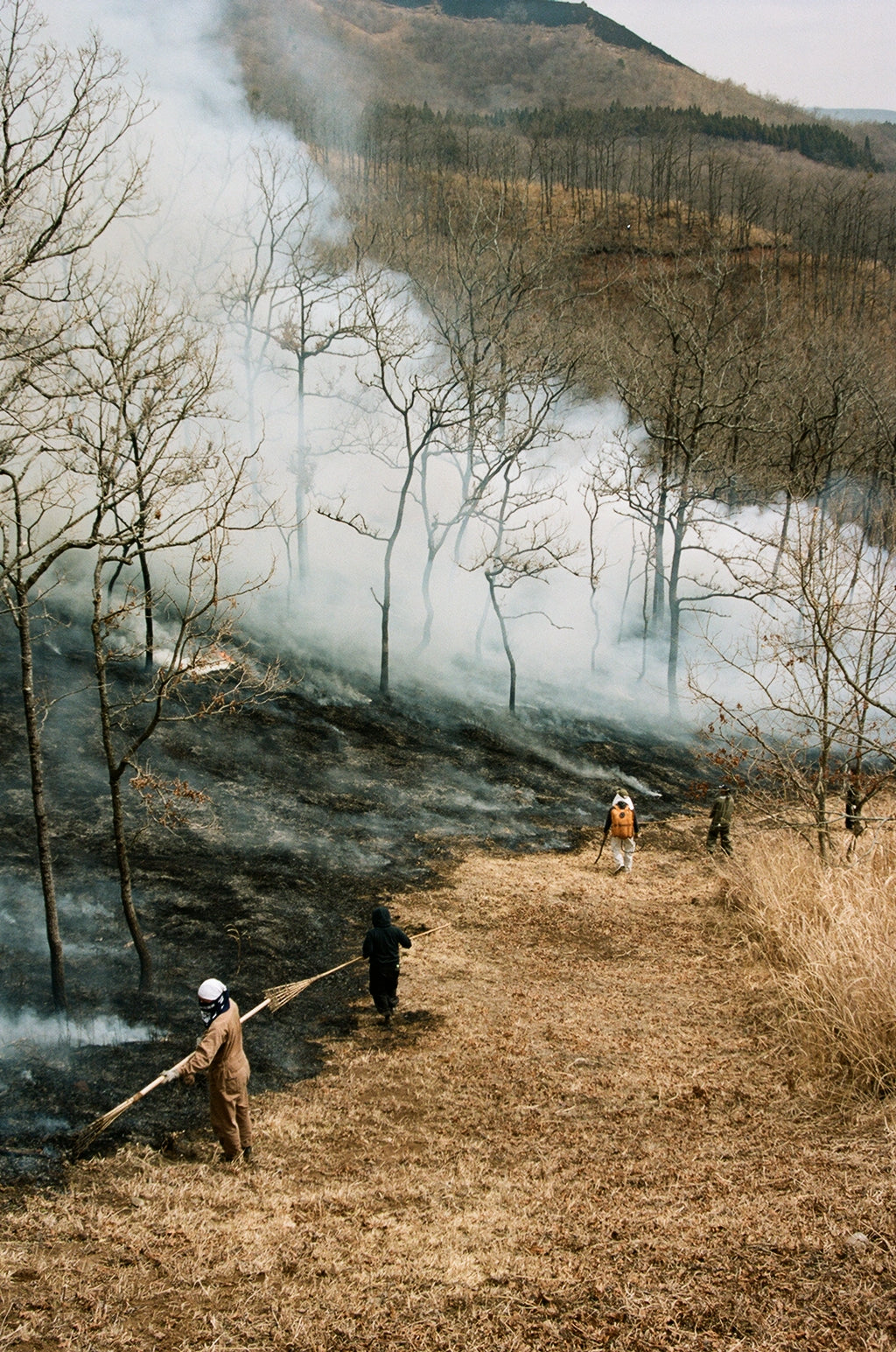 Noyaki Seasonal burning  on the Mt. Aso Noyaki Seasonal burning  on the Mt. Aso Noyaki Seasonal burning  on the Mt. Aso
