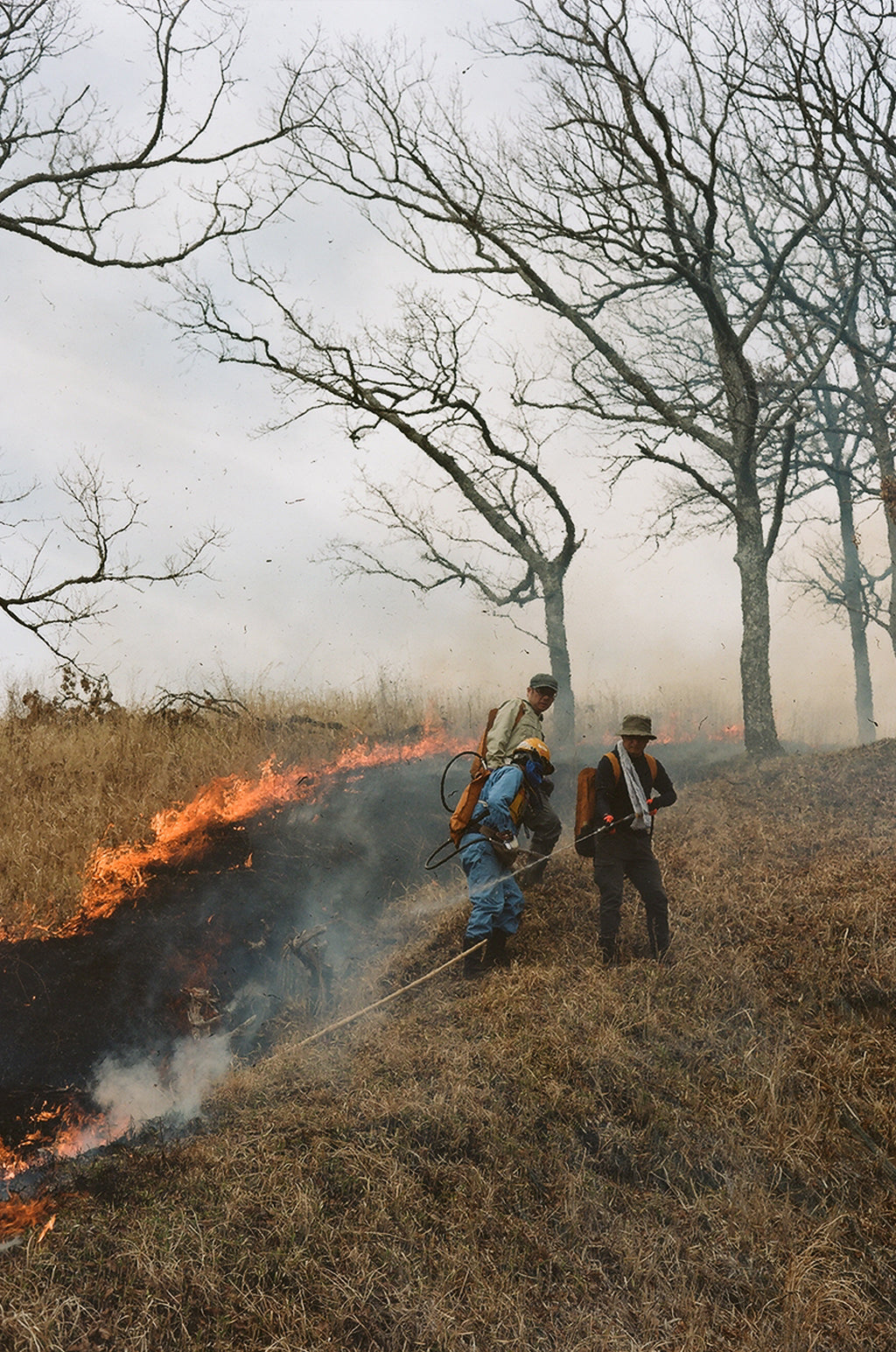 Noyaki Seasonal burning  on the Mt. Aso Noyaki Seasonal burning  on the Mt. Aso Noyaki Seasonal burning  on the Mt. Aso Noyaki Seasonal burning  on the Mt. Aso