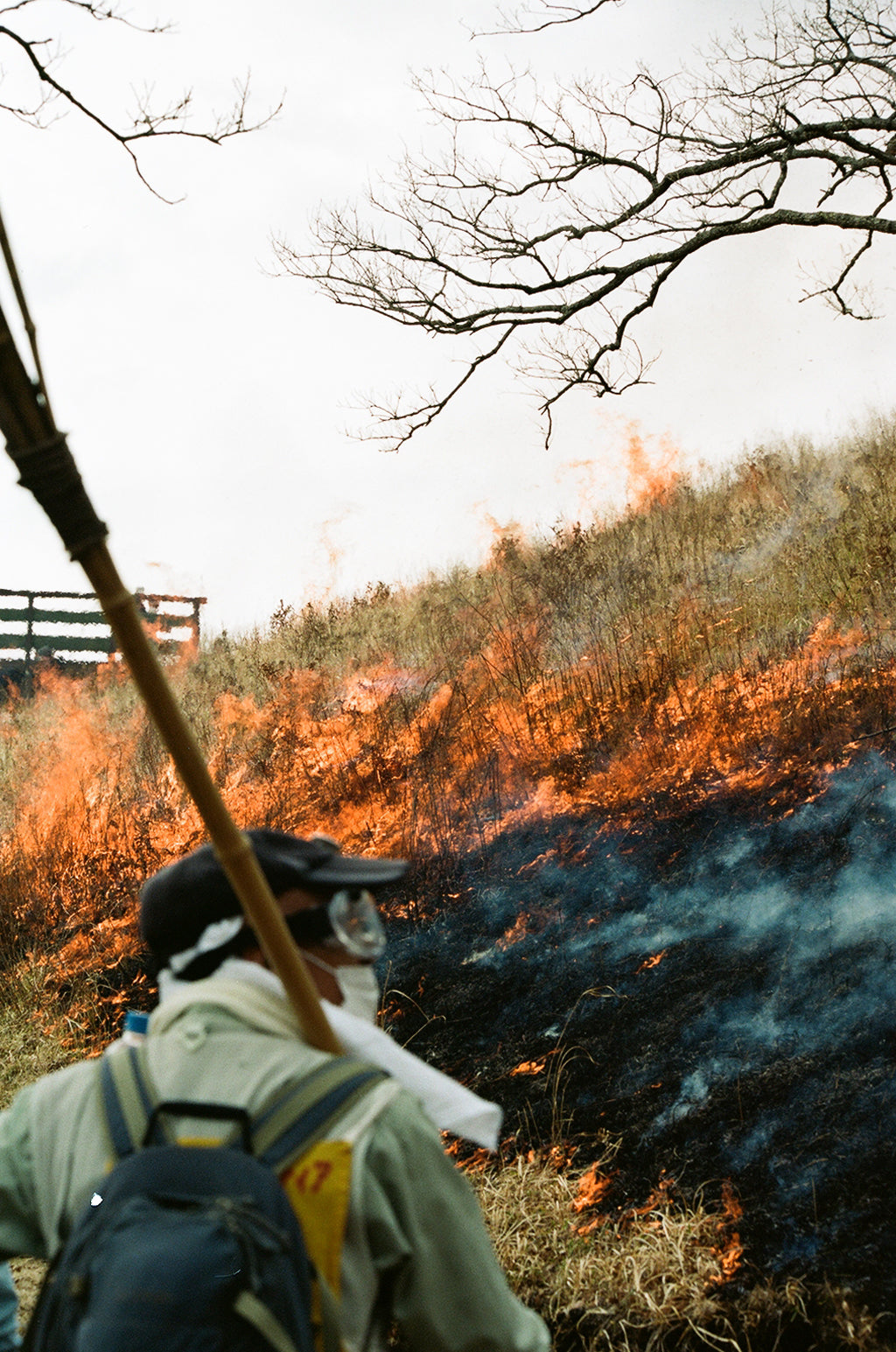 Noyaki Seasonal burning  on the Mt. Aso Noyaki Seasonal burning  on the Mt. Aso Noyaki Seasonal burning  on the Mt. Aso Noyaki Seasonal burning  on the Mt. Aso