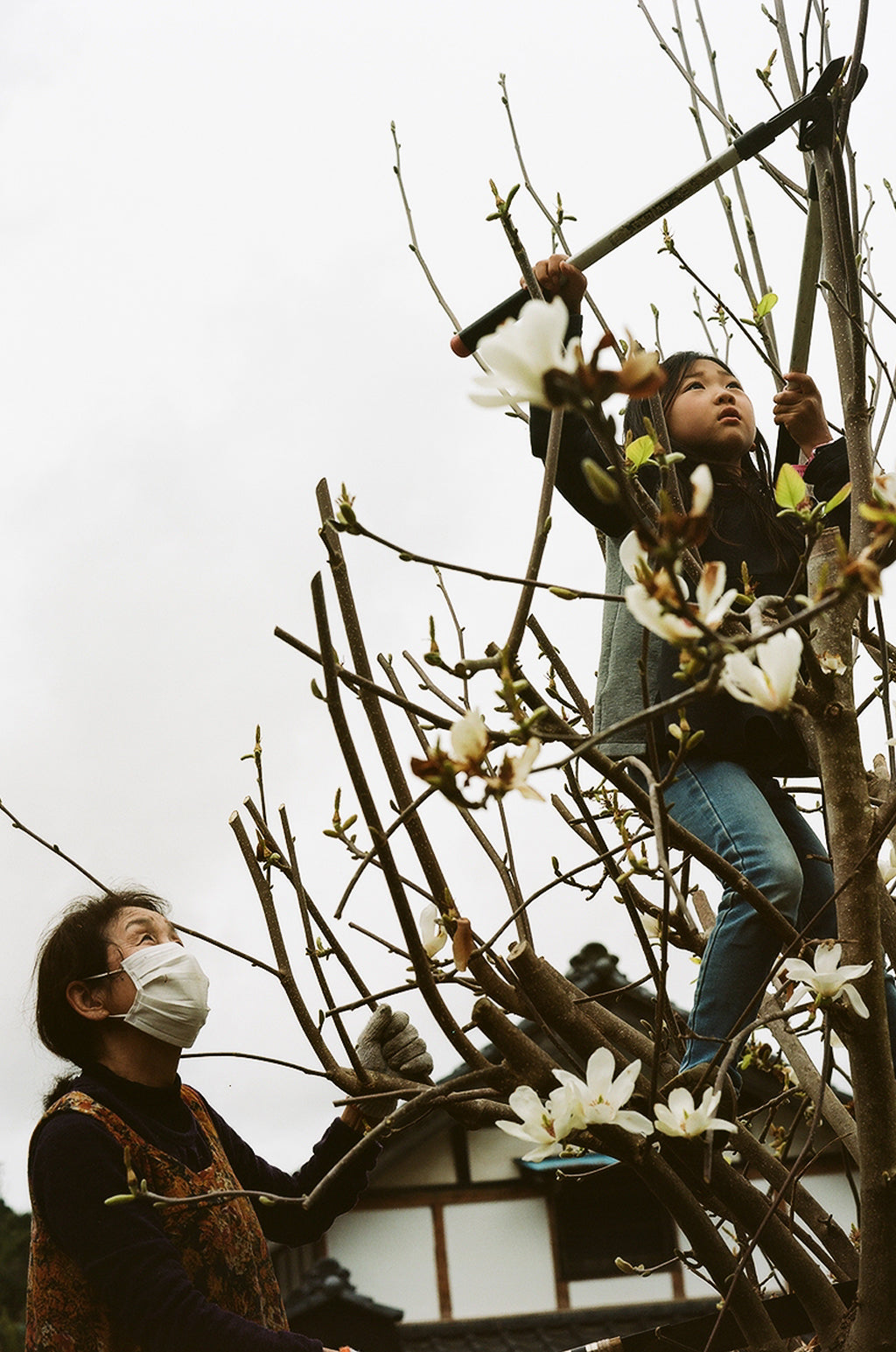 Kishuann  Tomohito Kaji’s auberge in Isumi. Kishuann  Tomohito Kaji’s auberge in Isumi. Kishuann  Tomohito Kaji’s auberge in Isumi. Kishuann  Tomohito Kaji’s auberge in Isumi. Kishuann  Tomohito Kaji’s auberge in Isumi.