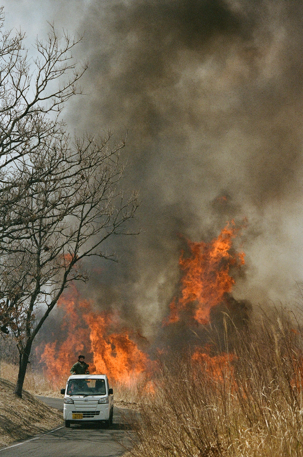 Noyaki Seasonal burning  on the Mt. Aso Noyaki Seasonal burning  on the Mt. Aso Noyaki Seasonal burning  on the Mt. Aso Noyaki Seasonal burning  on the Mt. Aso Noyaki Seasonal burning  on the Mt. Aso