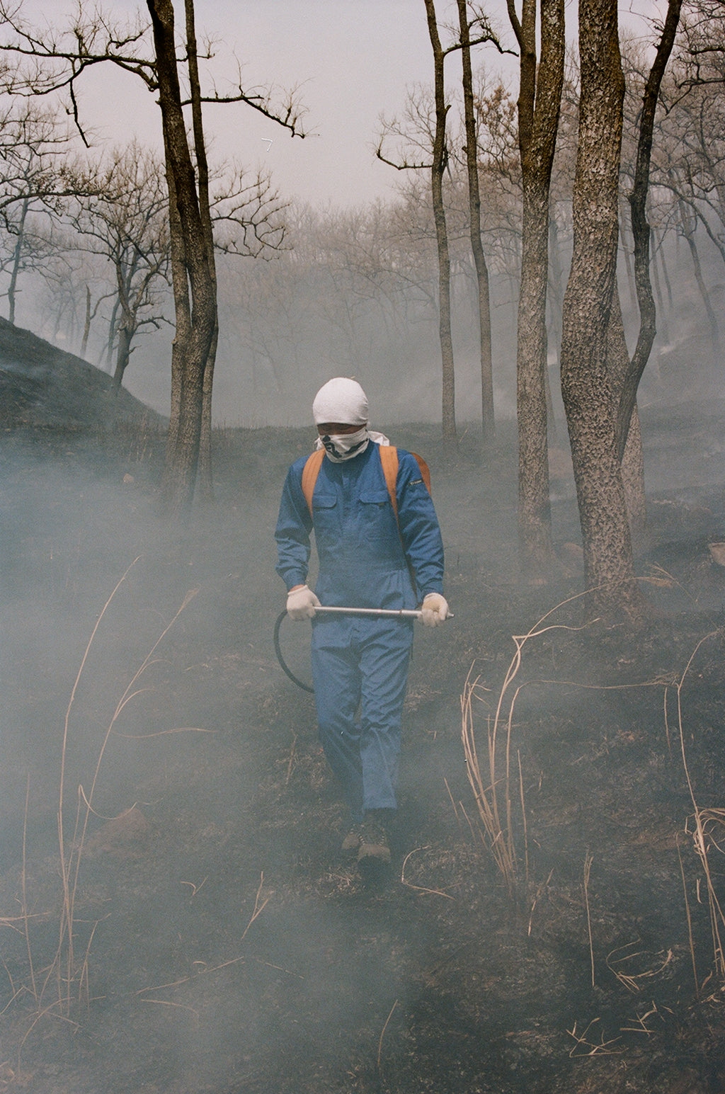 Noyaki Seasonal burning  on the Mt. Aso Noyaki Seasonal burning  on the Mt. Aso Noyaki Seasonal burning  on the Mt. Aso Noyaki Seasonal burning  on the Mt. Aso Noyaki Seasonal burning  on the Mt. Aso