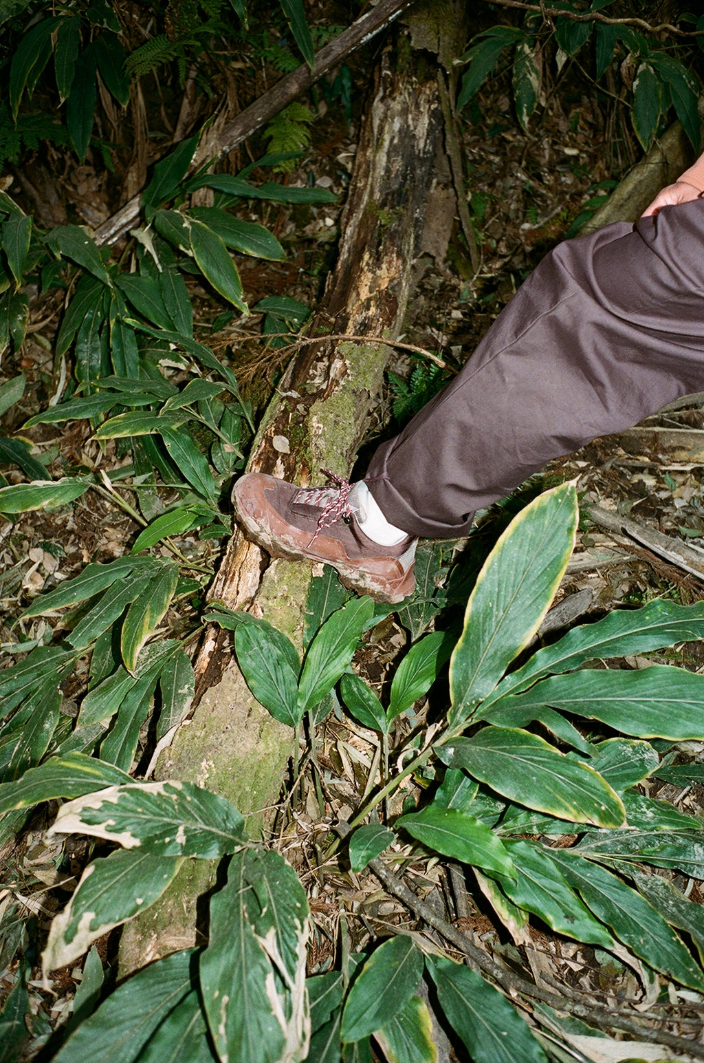 Kishuann  Tomohito Kaji’s auberge in Isumi. Kishuann  Tomohito Kaji’s auberge in Isumi. Kishuann  Tomohito Kaji’s auberge in Isumi. Kishuann  Tomohito Kaji’s auberge in Isumi. Kishuann  Tomohito Kaji’s auberge in Isumi. Kishuann  Tomohito Kaji’s auberge in Isumi.