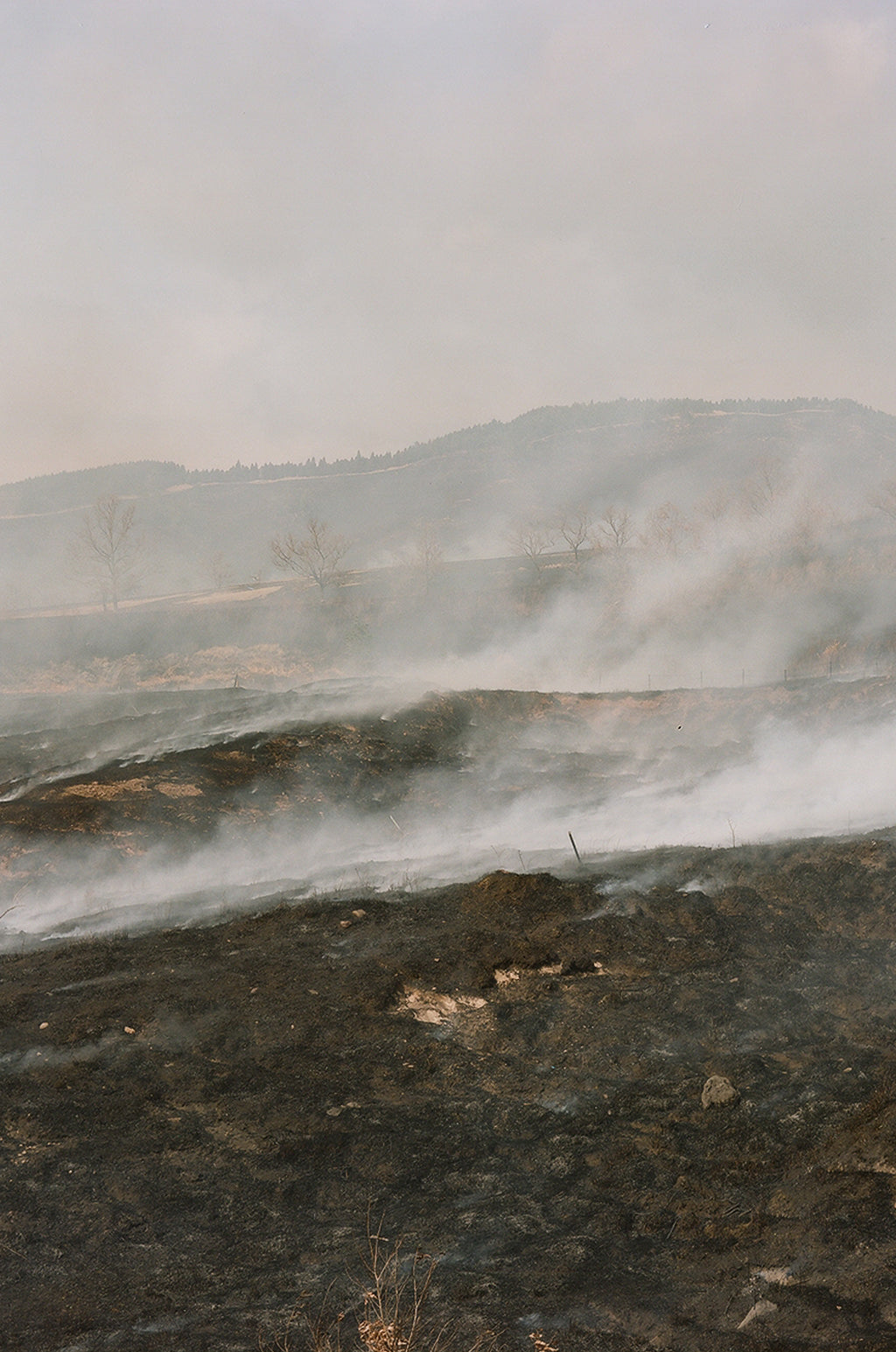Noyaki Seasonal burning  on the Mt. Aso Noyaki Seasonal burning  on the Mt. Aso Noyaki Seasonal burning  on the Mt. Aso Noyaki Seasonal burning  on the Mt. Aso Noyaki Seasonal burning  on the Mt. Aso Noyaki Seasonal burning  on the Mt. Aso