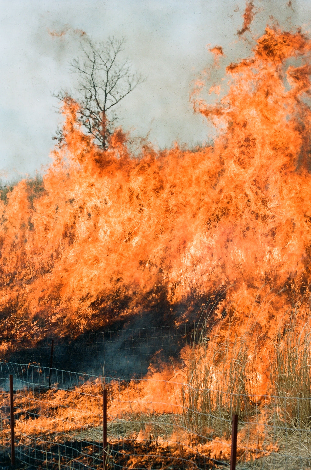 Noyaki Seasonal burning  on the Mt. Aso Noyaki Seasonal burning  on the Mt. Aso Noyaki Seasonal burning  on the Mt. Aso Noyaki Seasonal burning  on the Mt. Aso Noyaki Seasonal burning  on the Mt. Aso Noyaki Seasonal burning  on the Mt. Aso