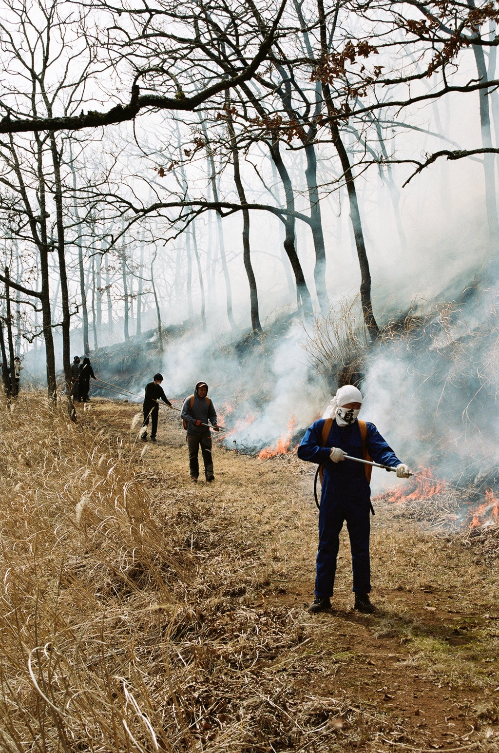 Noyaki Seasonal burning  on the Mt. Aso Noyaki Seasonal burning  on the Mt. Aso Noyaki Seasonal burning  on the Mt. Aso Noyaki Seasonal burning  on the Mt. Aso Noyaki Seasonal burning  on the Mt. Aso Noyaki Seasonal burning  on the Mt. Aso