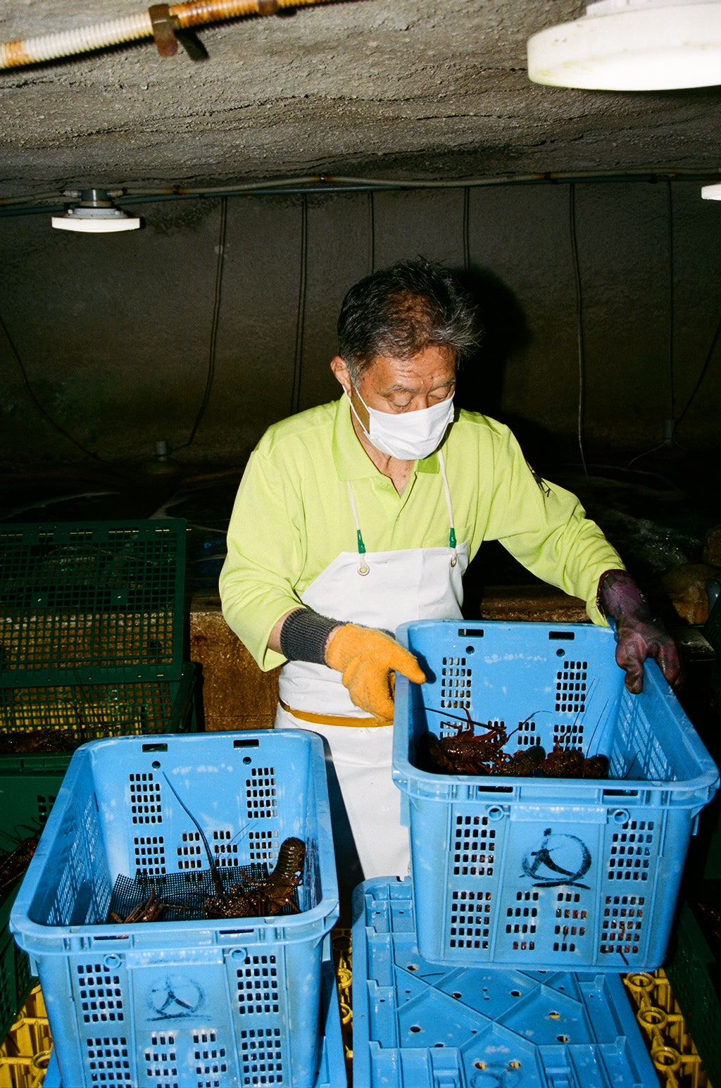 Kishuann  Tomohito Kaji’s auberge in Isumi. Kishuann  Tomohito Kaji’s auberge in Isumi. Kishuann  Tomohito Kaji’s auberge in Isumi. Kishuann  Tomohito Kaji’s auberge in Isumi. Kishuann  Tomohito Kaji’s auberge in Isumi. Kishuann  Tomohito Kaji’s auberge in Isumi. Kishuann  Tomohito Kaji’s auberge in Isumi.