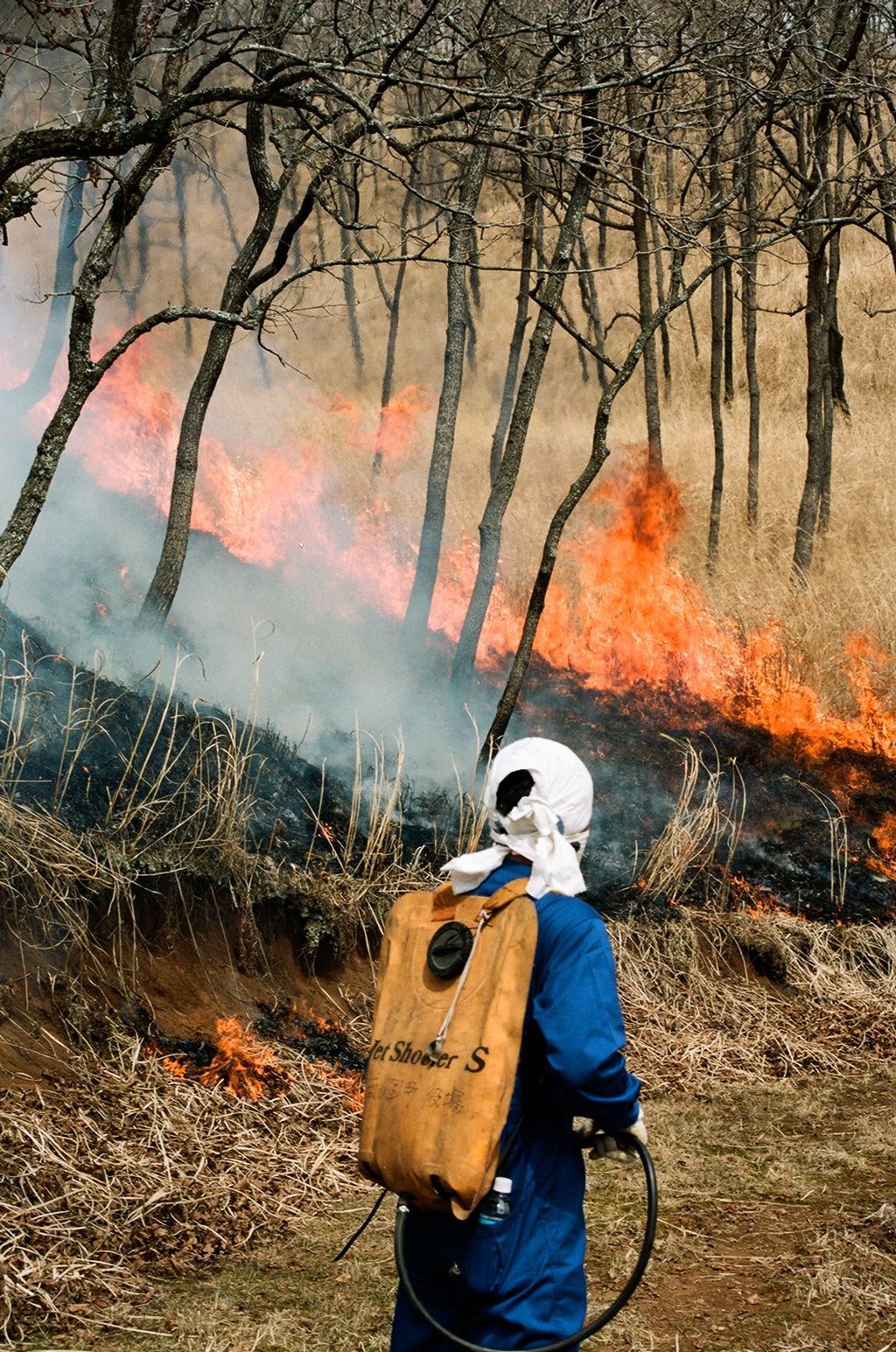 Noyaki Seasonal burning  on the Mt. Aso Noyaki Seasonal burning  on the Mt. Aso Noyaki Seasonal burning  on the Mt. Aso Noyaki Seasonal burning  on the Mt. Aso Noyaki Seasonal burning  on the Mt. Aso Noyaki Seasonal burning  on the Mt. Aso Noyaki Seasonal burning  on the Mt. Aso