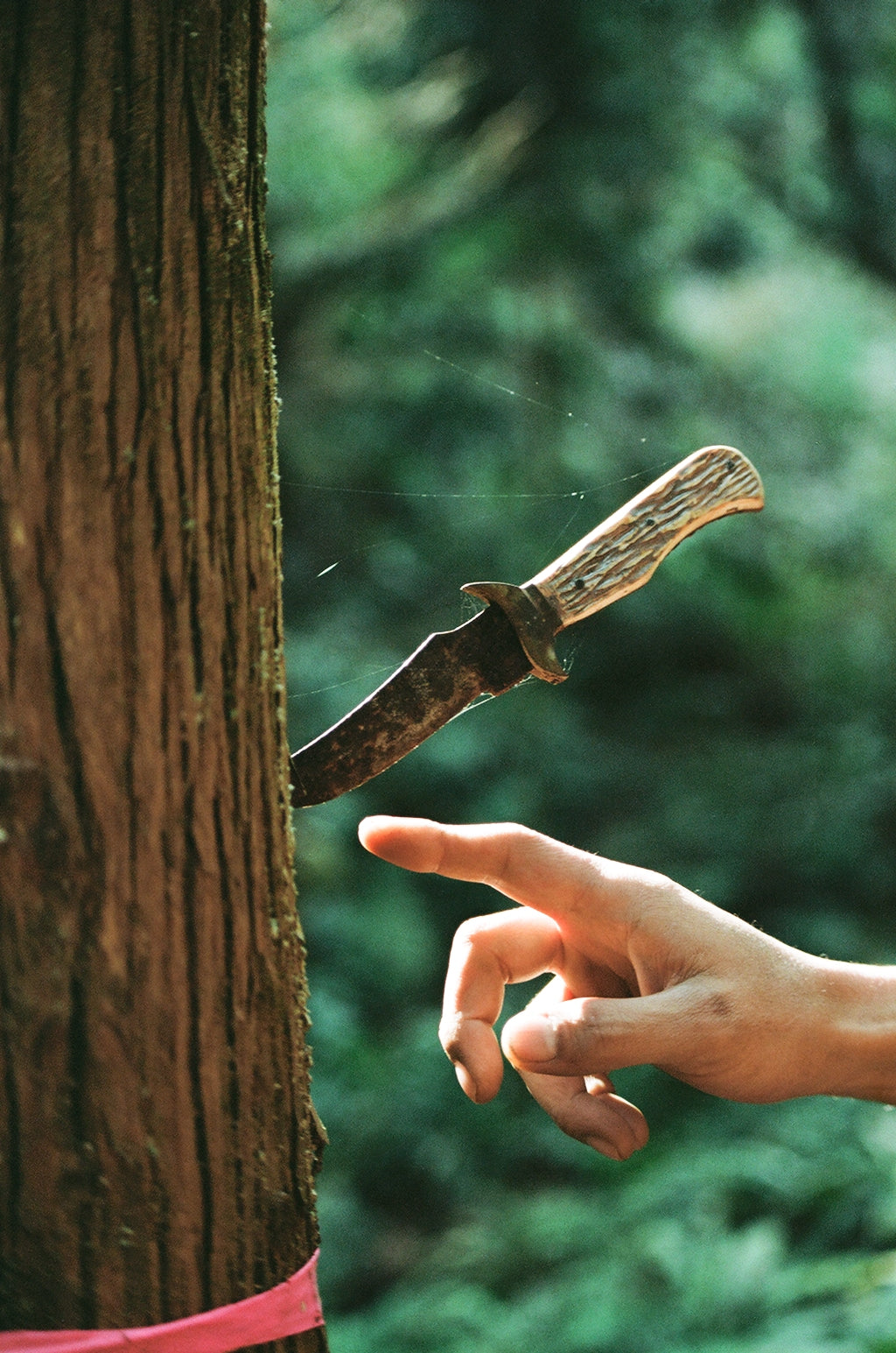 Kishuann  Tomohito Kaji’s auberge in Isumi. Kishuann  Tomohito Kaji’s auberge in Isumi. Kishuann  Tomohito Kaji’s auberge in Isumi. Kishuann  Tomohito Kaji’s auberge in Isumi. Kishuann  Tomohito Kaji’s auberge in Isumi. Kishuann  Tomohito Kaji’s auberge in Isumi. Kishuann  Tomohito Kaji’s auberge in Isumi. Kishuann  Tomohito Kaji’s auberge in Isumi.