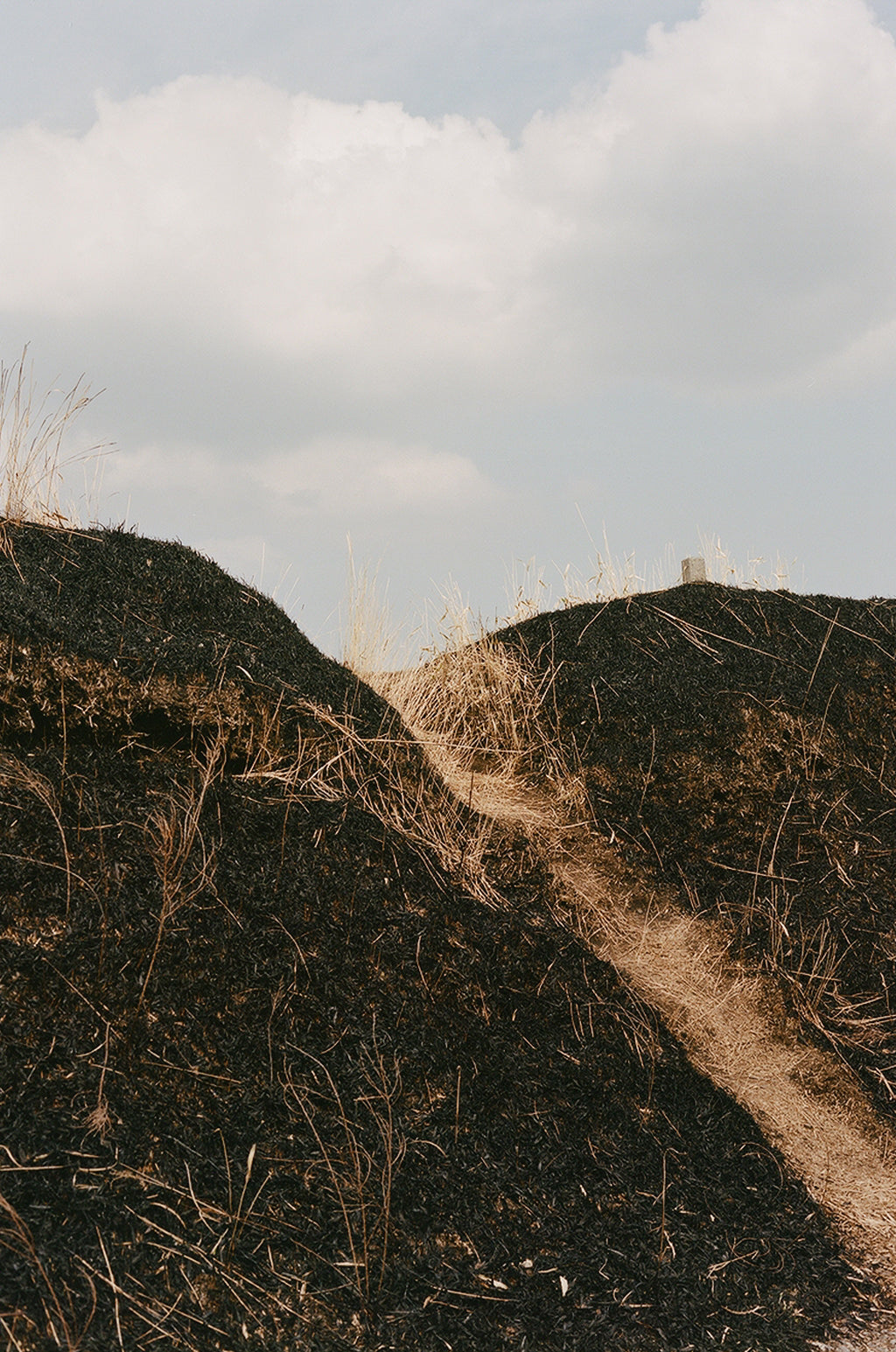 Noyaki Seasonal burning  on the Mt. Aso Noyaki Seasonal burning  on the Mt. Aso Noyaki Seasonal burning  on the Mt. Aso Noyaki Seasonal burning  on the Mt. Aso Noyaki Seasonal burning  on the Mt. Aso Noyaki Seasonal burning  on the Mt. Aso Noyaki Seasonal burning  on the Mt. Aso Noyaki Seasonal burning  on the Mt. Aso