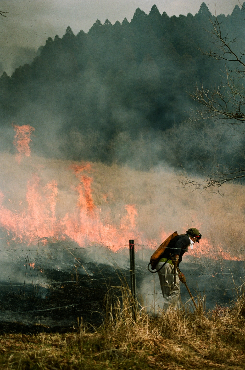 Noyaki Seasonal burning  on the Mt. Aso Noyaki Seasonal burning  on the Mt. Aso Noyaki Seasonal burning  on the Mt. Aso Noyaki Seasonal burning  on the Mt. Aso Noyaki Seasonal burning  on the Mt. Aso Noyaki Seasonal burning  on the Mt. Aso Noyaki Seasonal burning  on the Mt. Aso Noyaki Seasonal burning  on the Mt. Aso