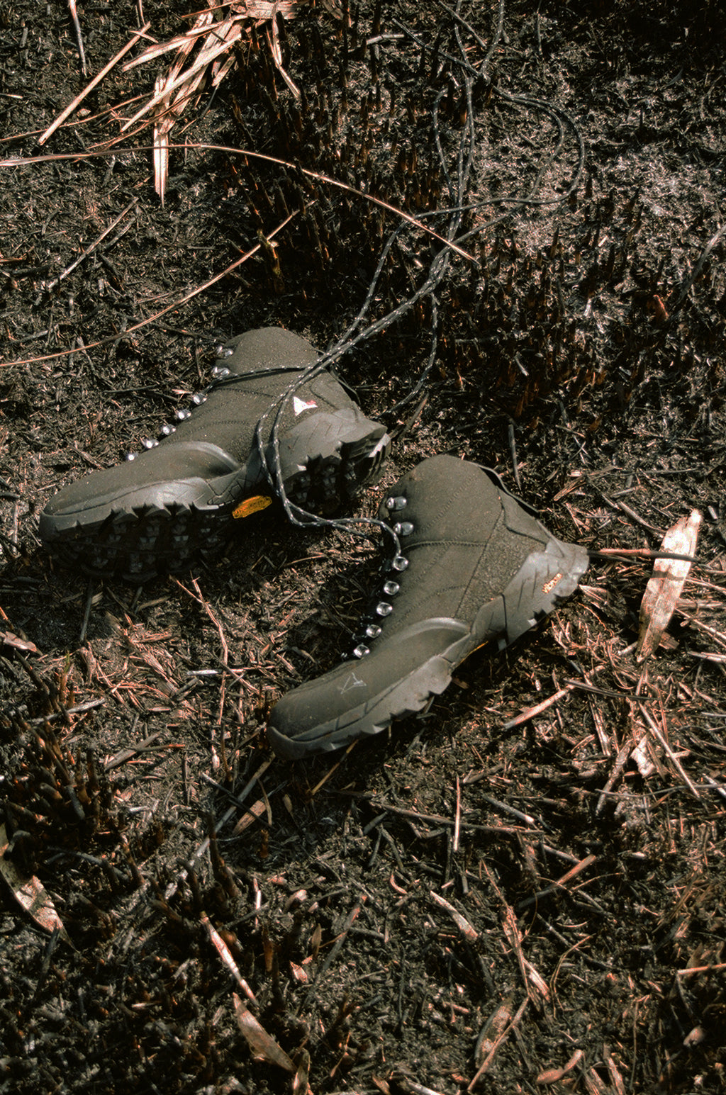 Noyaki Seasonal burning  on the Mt. Aso Noyaki Seasonal burning  on the Mt. Aso Noyaki Seasonal burning  on the Mt. Aso Noyaki Seasonal burning  on the Mt. Aso Noyaki Seasonal burning  on the Mt. Aso Noyaki Seasonal burning  on the Mt. Aso Noyaki Seasonal burning  on the Mt. Aso Noyaki Seasonal burning  on the Mt. Aso Noyaki Seasonal burning  on the Mt. Aso