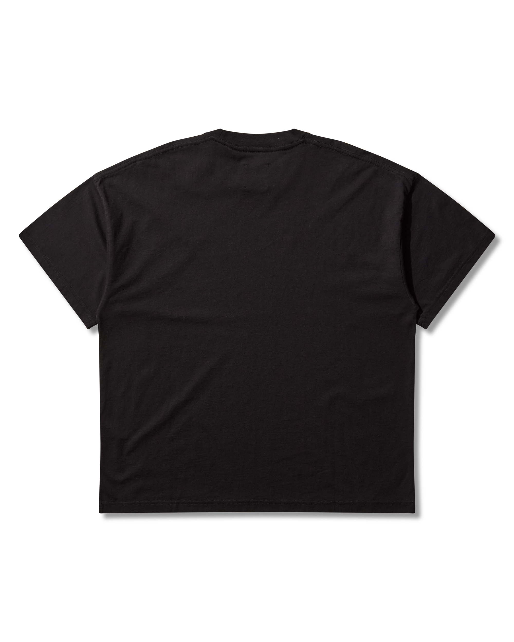 ROA Logo Organic T Shirt J316794-S-Black 10