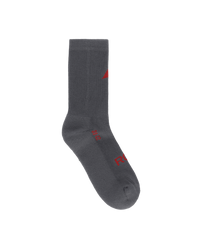 Thumbnail Logo Biofil Socks Grey