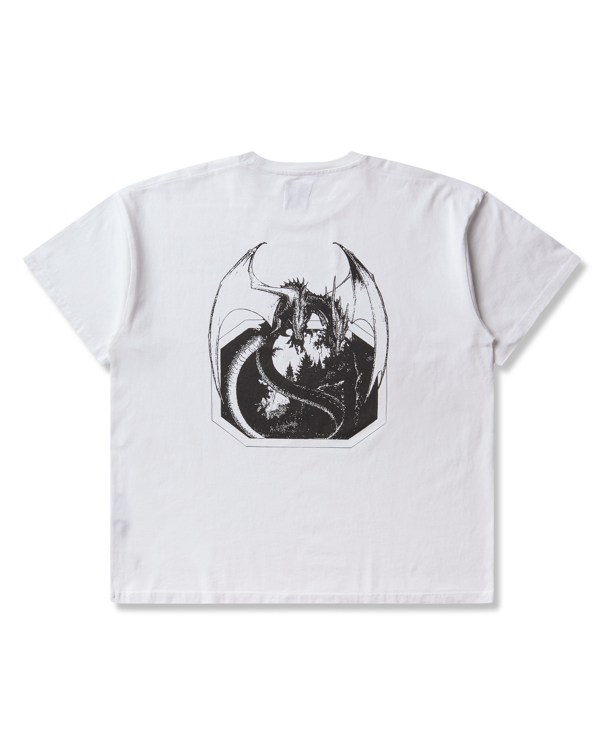 ROA Dragon T-shirt J347354-S-White 10